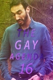 The Gay Agenda 16-hd