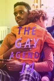 The Gay Agenda 14 series tv