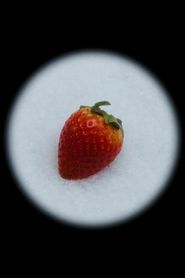 Image Maruška ou l'histoire d'une vraie fausse fraise en hiver