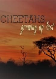 Image Cheetahs: Growing Up Fast