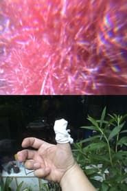 The Amazing Change of Flowers In My Little Garden series tv