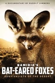Image Namibia's Bat-eared Foxes: Survivalists of the Desert