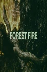 Image Your Chance to Live: Forest Fire