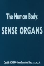 Image The Human Body: Sense Organs