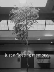 just a fleeting memory. series tv