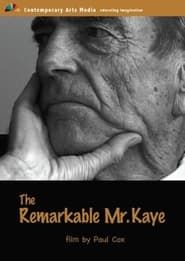 The Remarkable Mr. Kaye series tv