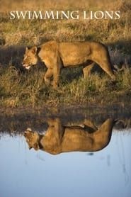 Image Swimming Lions