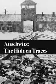 Auschwitz: The Hidden Traces series tv