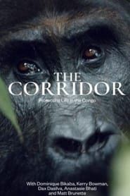 The Corridor series tv