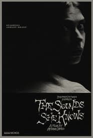 The Sounds She Knows series tv
