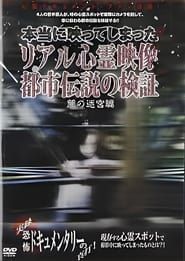 Investigation of Real Supernatural Footage and Urban Legends: Labyrinth of Darkness Edition series tv