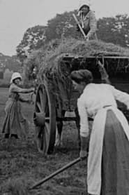 Image Women Hay Makers