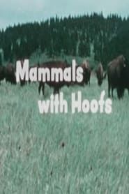Image Mammals With Hoofs