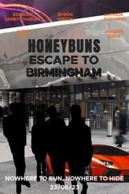 Honeybuns 3: Escape to Birmingham series tv