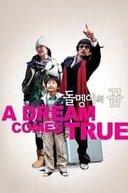 돌멩이의 꿈 (2009)