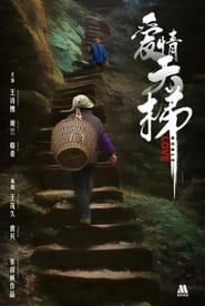 爱情天梯 (2013)