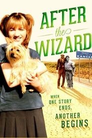 After the Wizard series tv