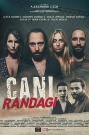 Cani Randagi-hd