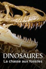 Dinosaures, la chasse aux fossiles (2024)