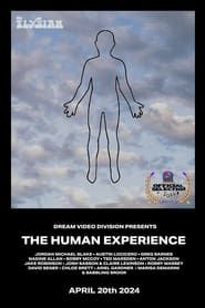 Dream Video Division Presents The Human Experience (2024)