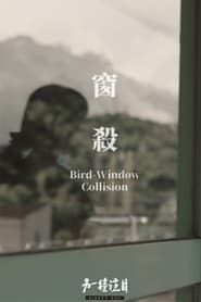 Image Bird-Window Collisions