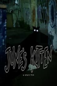 June's Kitten series tv