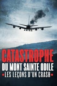 Image Les catastrophes du Mont Sainte-Odile, les leçons d'un crash 2023