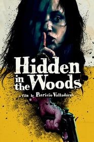 Hidden in the Woods series tv