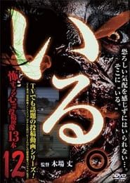 「Iru.」~ Kowasugiru Tōkō Eizō 13-hon ~ Vol.12 series tv