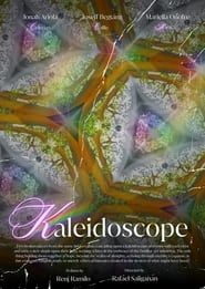 Image Kaleidoscope 2024