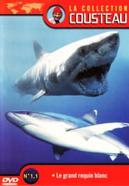 La Collection Cousteau N° 1 | Le Grand Requin Blanc | Les Requins Dormeurs Du Yucatan series tv