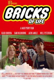 Bricks of Life series tv