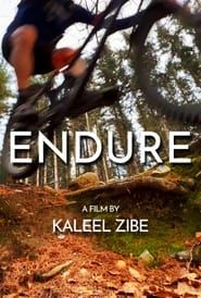 Endure series tv