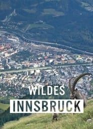 Wildes Innsbruck: Zwischen Moderne und alpiner Wildnis (2021)