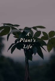A Plant's Life series tv