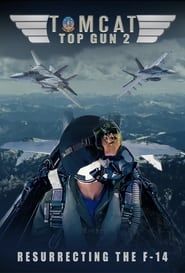 Image Tomcat: Top Gun 2, Resurrecting the F-14