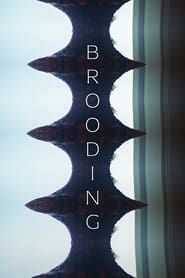 Brooding (2024)