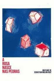 A Rosa Nasce Nas Pedras series tv