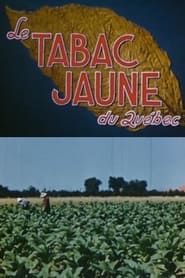 Yellow Tobacco from Quebec series tv