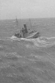 Havets storvilt (1939)