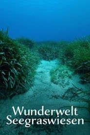 Wunderwelt Seegraswiesen Klimaretter, Kinderstube, Küstenschutz series tv