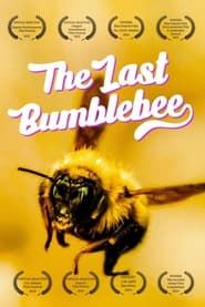 The Last Bumblebee series tv