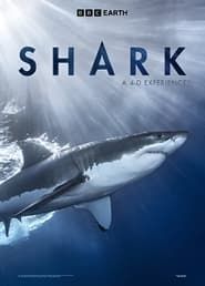 Shark: A 4D Experience series tv