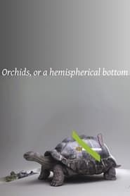 Image Orchids, or a hemispherical bottom