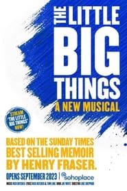 The Little Big Things series tv