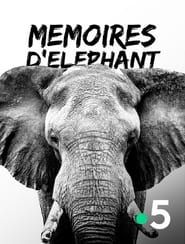 Mémoires d'éléphant series tv