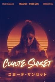 Image Coyote Sunset