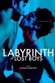 Labyrinth of Lost Boys series tv