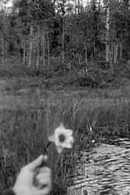 Summer Memories from Västerbotten 1912 series tv