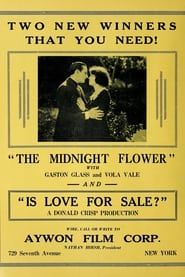 The Midnight Flower-hd